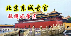 肉丝美女搞基插屄中国北京-东城古宫旅游风景区